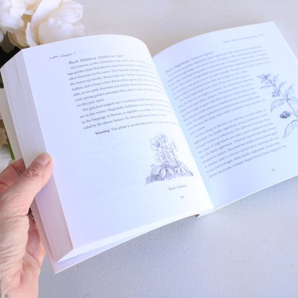 Book, "A Garden Witch's Herbal" by Ellen Dugan, Llewellyn Publications, 2009 - Picture 7 of 11